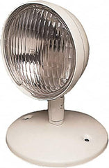 Mule - 1 Head, 6 VDC, Polycarbonate, Incandescent Remote Emergency Lighting Head - 25 Watt, Battery Not Included - Exact Tooling