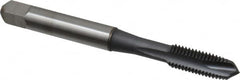 Accupro - 1/4-28 UNF, 3 Flute, TiCN Finish, Powdered Metal Spiral Point Tap - Plug Chamfer, Right Hand Thread, 2-1/2" OAL, 3B Class of Fit - Exact Tooling