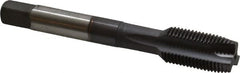 Accupro - 1/2-20 UNF, 3 Flute, TiCN Finish, Powdered Metal Spiral Point Tap - Plug Chamfer, Right Hand Thread, 3-3/8" OAL, 3B Class of Fit - Exact Tooling