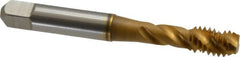 Accupro - 5/16-18 UNC 3 Flute 3B Modified Bottoming Spiral Flute Tap - Powdered Metal, TiN Finish, 2-23/32" OAL, Right Hand Flute, Right Hand Thread, H3 - Exact Tooling