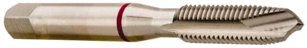 Accupro - 3/4-16, 4 Flute, Bright Finish, Vanadium High Speed Steel Spiral Point Tap - Plug Chamfer, Right Hand Thread, 4-1/4" OAL, 37mm Thread Length, 14.986mm Shank Diam, 2B Class of Fit - Exact Tooling