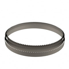 Lenox - 4 to 6 TPI, 12' 10" Long x 1-1/4" Wide x 0.042" Thick, Welded Band Saw Blade - M42, Bi-Metal, Toothed Edge - Exact Tooling