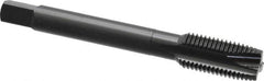 OSG - 7/16-20 UNF, 3 Flute, Oxide Finish, Vanadium High Speed Steel Spiral Point Tap - Plug Chamfer, Right Hand Thread, 3-5/32" OAL, 1-7/16" Thread Length, 0.323" Shank Diam, Series 280 - Exact Tooling