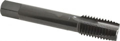 OSG - 3/4-10 UNC, 3 Flute, Oxide Finish, Vanadium High Speed Steel Spiral Point Tap - Plug Chamfer, Right Hand Thread, 4-1/4" OAL, 2" Thread Length, 0.59" Shank Diam, Series 280 - Exact Tooling