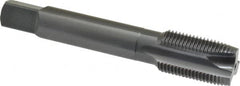 OSG - 3/4-16 UNF, 3 Flute, Oxide Finish, Vanadium High Speed Steel Spiral Point Tap - Plug Chamfer, Right Hand Thread, 4-1/4" OAL, 2" Thread Length, 0.59" Shank Diam, 3B Class of Fit, Series 280 - Exact Tooling