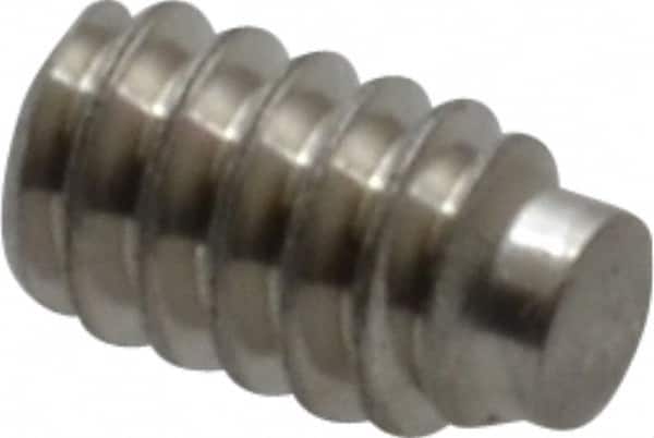 Value Collection - #4-40 UNC, 3/16" OAL, Half Dog Point Set Screw - Grade Austenitic A2 Stainless Steel, 0.05" Key - Exact Tooling