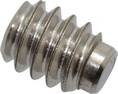 Value Collection - #10-24 UNC, 1/4" OAL, Half Dog Point Set Screw - Grade Austenitic A2 Stainless Steel, 3/32" Key - Exact Tooling