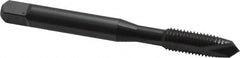 OSG - 1/4-28 UNF, 2 Flute, Oxide Finish, High Speed Steel Spiral Point Tap - Plug Chamfer, Right Hand Thread, 2-1/2" OAL, 1" Thread Length, 0.255" Shank Diam, 3B Class of Fit, Series 105 - Exact Tooling