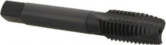 OSG - 5/8-11 UNC, 3 Flute, Oxide Finish, Vanadium High Speed Steel Spiral Point Tap - Plug Chamfer, Right Hand Thread, 3-13/16" OAL, 1-13/16" Thread Length, 0.48" Shank Diam, 2B Class of Fit, Series 300 - Exact Tooling