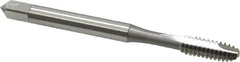 OSG - #10-24 UNC, 2 Flute, Bright Finish, High Speed Steel Spiral Point Tap - Bottoming Chamfer, Right Hand Thread, 2-3/8" OAL, 7/8" Thread Length, 0.194" Shank Diam, 2B/3B Class of Fit, Series 105B - Exact Tooling