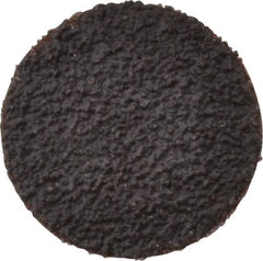 Tru-Maxx - 1" Disc Diam, 40 Grit, Aluminum Oxide Quick Change Disc - Type R Attaching System, Coated, Brown, Coarse Grade, 30,000 RPM - Exact Tooling