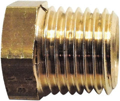 Legris - 3/8 Male Thread x 1/4 Female Thread, Brass Industrial Pipe Hex Bushing - MBSPT x FBSPP, 3,626 psi - Exact Tooling