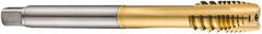 DORMER - M16x2.00 Metric Coarse, 3 Flute, TiN Finish, Cobalt Spiral Point Tap - Plug Chamfer, Right Hand Thread, 110mm OAL, 25mm Thread Length, 12mm Shank Diam, 6H Class of Fit, Series E423 - Exact Tooling