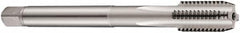DORMER - 1-1/8 - 7 UNC 2B 4 Flute Bright Finish Cobalt Straight Flute Machine Tap - Bottoming, Right Hand Thread, 180mm OAL, 45mm Thread Length, Oversize - Exact Tooling