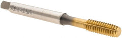 Union Butterfield - 1/4-20 UNC 2B Modified Bottoming Thread Forming Tap - Powdered Metal High Speed Steel, TiN Finish, 3.15" OAL, 0.669" Thread Length, Right Hand Thread, Series 1681AP - Exact Tooling