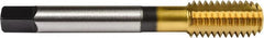 Union Butterfield - 1/2-13 UNC 2B/3B H5 Thread Limit Bottoming Thread Forming Tap - Powdered Metal High Speed Steel, TiN Finish, 3-3/8" OAL, 15/16" Thread Length, Right Hand Thread, Series 1641 - Exact Tooling