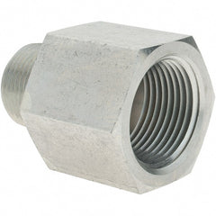 Parker - MNPT x FNPT Industrial Pipe Adapter - Exact Tooling