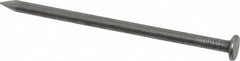 Value Collection - 10D, 9 Gauge, 3" OAL Common Nails - Ring Shank, Grade 2 Steel, Bright Finish - Exact Tooling