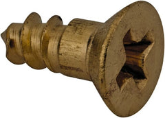 Value Collection - #6, 3/8" OAL, Phillips Drive, Flat Head Wood Screw - Brass - Exact Tooling