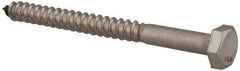 Value Collection - 1/4" Screw, 3" Length Under Head, Stainless Steel, Hex Head Lag Screw - Grade 18-8, Uncoated - Exact Tooling