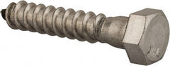 Value Collection - 3/8" Screw, 2" Length Under Head, Stainless Steel, Hex Head Lag Screw - Grade 18-8, Uncoated - Exact Tooling