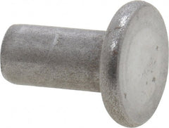 RivetKing - 1/8" Body Diam, Flat Uncoated Steel Solid Rivet - 1/4" Length Under Head - Exact Tooling