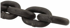 Peerless Chain - 47400 Lbs. Load Capacity, Alloy Steel Chain - 8 Grade, 2.9 Inch Inside Long x 1.419 Inch Inside Wide - Exact Tooling