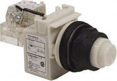 Schneider Electric - 120 V White Lens LED Press-to-Test Indicating Light - Round Lens, Screw Clamp Connector, Corrosion Resistant, Dust Resistant, Oil Resistant - Exact Tooling