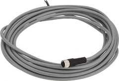 Telemecanique Sensors - 3 Amp, M8 3 Pin Female Straight Cordset Sensor and Receptacle - 60 VAC, 75 VDC, 5m Cable Length, IP67 Ingress Rating - Exact Tooling