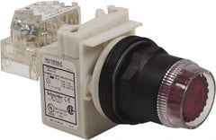 Schneider Electric - 30mm Mount Hole, Extended Straight, Pushbutton Switch with Contact Block - Red Pushbutton, Momentary (MO) - Exact Tooling