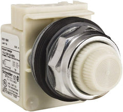 Schneider Electric - 120 VAC White Lens Indicating Light - Screw Clamp Connector - Exact Tooling