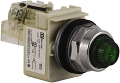 Schneider Electric - 120 VAC Green Lens Indicating Light - Screw Clamp Connector - Exact Tooling