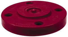 NIBCO - 2" Pipe, 6" OD, PVDF Blind Pipe Flange - Schedule 80, Red - Exact Tooling