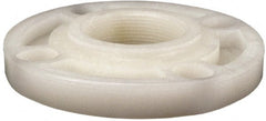 NIBCO - 2" Pipe, 6" OD, PVDF Threaded Pipe Flange - Schedule 80, Natural - Exact Tooling
