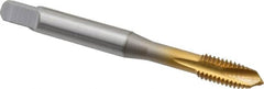 OSG - M6x1.00 Metric Coarse, 3 Flute, TiN Finish, Vanadium High Speed Steel Spiral Point Tap - Plug Chamfer, Right Hand Thread, 2-1/2" OAL, 1" Thread Length, 0.255" Shank Diam, 6H Class of Fit, Series 342 - Exact Tooling