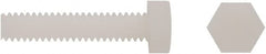 Electro Hardware - 1/4-20, 5/8" Long Hex Head Cap Screw - Fully Threaded, Grade 6/6 Nylon, Uncoated - Exact Tooling