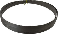 Starrett - 6 to 10 TPI, 8' 2-1/2" Long x 3/4" Wide x 0.035" Thick, Welded Band Saw Blade - Bi-Metal, Toothed Edge, Raker Tooth Set, Contour Cutting - Exact Tooling