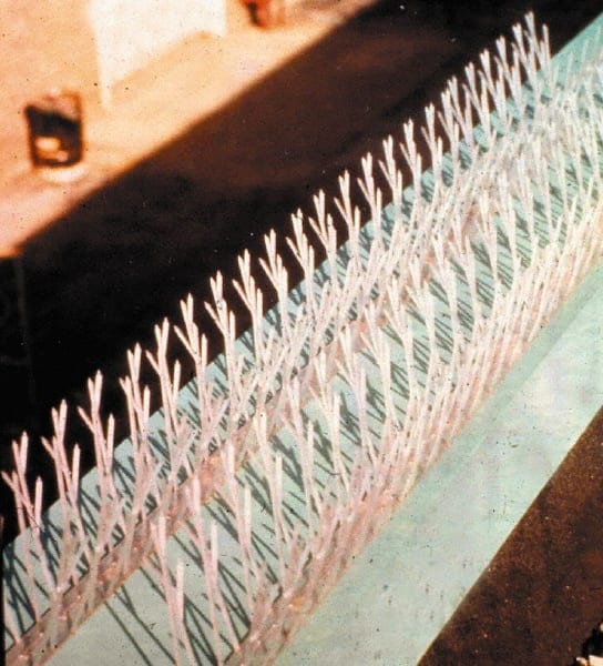 Bird-X - Plastic Bird Spikes - 4-1/2 Inch High x 2-1/4 Inch Wide x 25 Ft. Long x 0.5 Inch Thick - Exact Tooling