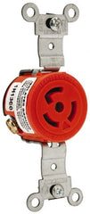 Leviton - 125 VAC, 15 Amp, 5-15R NEMA, Self Grounding Receptacle - 2 Poles, 3 Wire, Female End, Orange - Exact Tooling