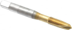 OSG - M8x1.25 Metric Coarse, 2 Flute, TiN Finish, High Speed Steel Spiral Point Tap - Plug Chamfer, Right Hand Thread, 2-23/32" OAL, 1-1/8" Thread Length, 0.318" Shank Diam, 6H Class of Fit, Series 142 - Exact Tooling