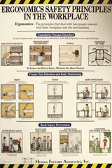 NMC - 24" Wide x 36" High Laminated Paper Ergonomics Information Poster - English - Exact Tooling