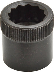 Holo-Krome - 3/4-10" Thread Uncoated Steel Allen Nut - 3/4" Diam, 3/4" Hex Key - Exact Tooling