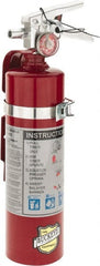Buckeye Fire - 2.5 Lb, 1-A:10-B:C Rated, Dry Chemical Fire Extinguisher - Exact Tooling
