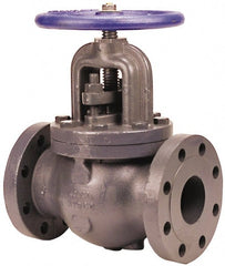 NIBCO - 2-1/2" Pipe, Flanged Ends, Iron Renewable Globe Valve - Bronze Disc, Bolted Bonnet, 500 psi WOG, 250 psi WSP, Class 250 - Exact Tooling