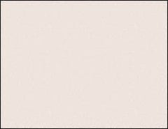 CleanTeam - Anti-Static & Clean Room Paper Color: White Length (Inch): 11 - Exact Tooling