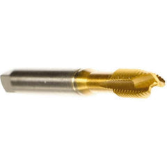 Emuge - M10x1.25 Metric Fine, 3 Flute, TiN Finish, Cobalt Spiral Point Tap - Plug Chamfer, Right Hand Thread, 2-15/16" OAL, 0.709" Thread Length, 0.381" Shank Diam, 6H Class of Fit, Series Rekord B - Exact Tooling