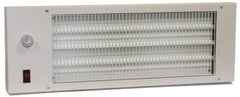 TPI - 22-3/4" Long, 580 BTU Radiant Heat Panel - 120 Volts, 170 Watts - Exact Tooling