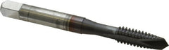 OSG - 1/4-20 UNF, 2 Flute, TiCN Finish, High Speed Steel Spiral Point Tap - Plug Chamfer, Right Hand Thread, 2-1/2" OAL, 1" Thread Length, 0.255" Shank Diam, 2B Class of Fit, Series 105 - Exact Tooling