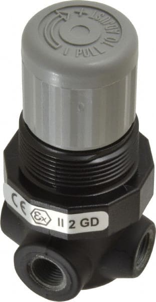 Norgren - 1/8" NPT Relief Valve - 0.7 CV Rate, 21 CFM, 100 Max psi, Knob Adjustment Actuator - Exact Tooling
