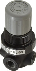Norgren - 1/8" NPT Relief Valve - 0.7 CV Rate, 21 CFM, 100 Max psi, Knob Adjustment Actuator - Exact Tooling